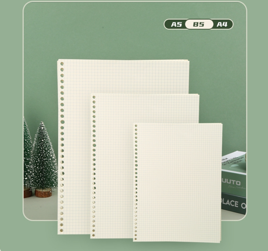 A5 B5 Line Grid 20Holes Loose- - A5 Spiral Dotted Grid Notebook review and price