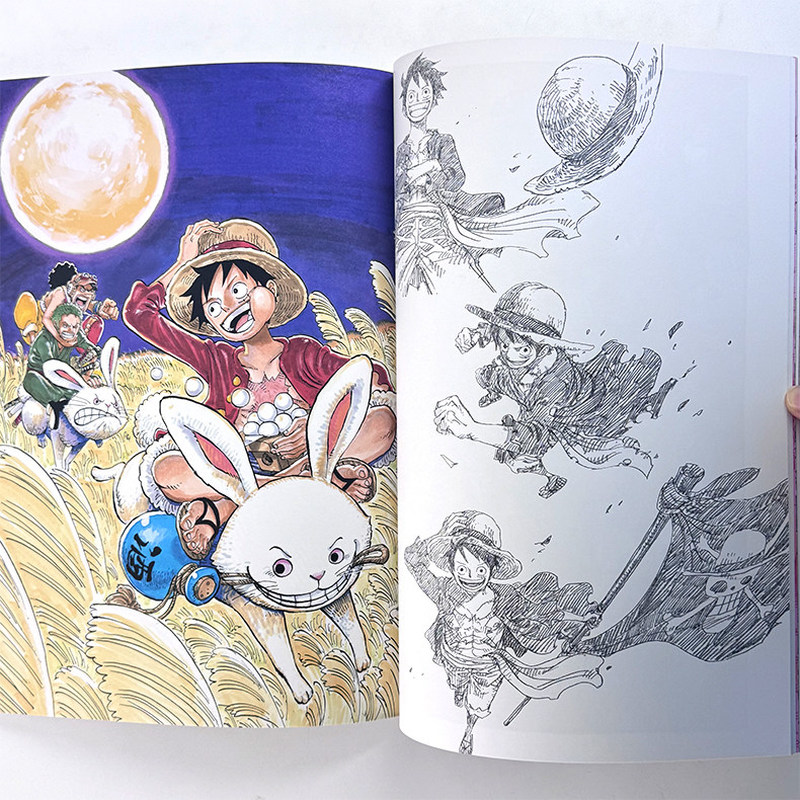One Piece Illustration Book Co - Stationery Books review and price
