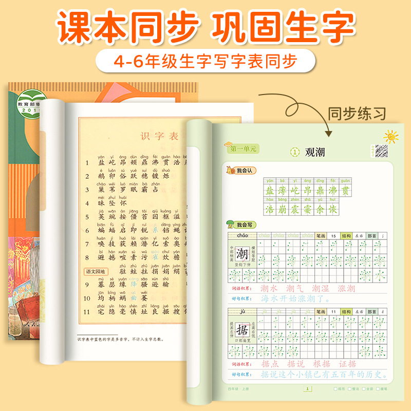 Dot Matrix Font Book, Chinese  - Chinese Calligraphy Practice Book review and price