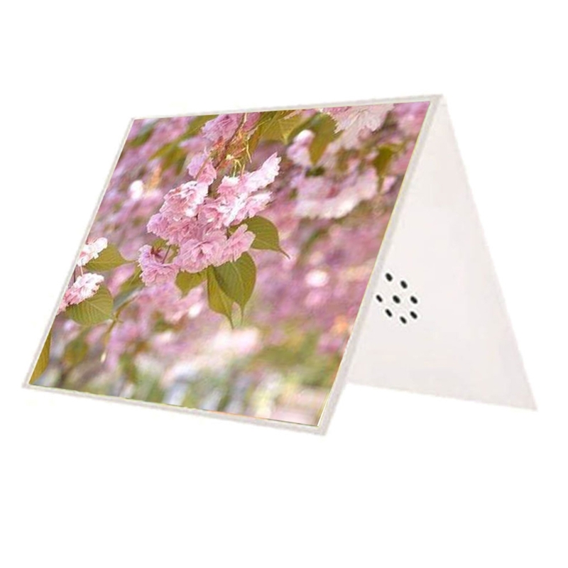 Talking Product, Writeable Gre - Blank Sheet Music Notebook review and price